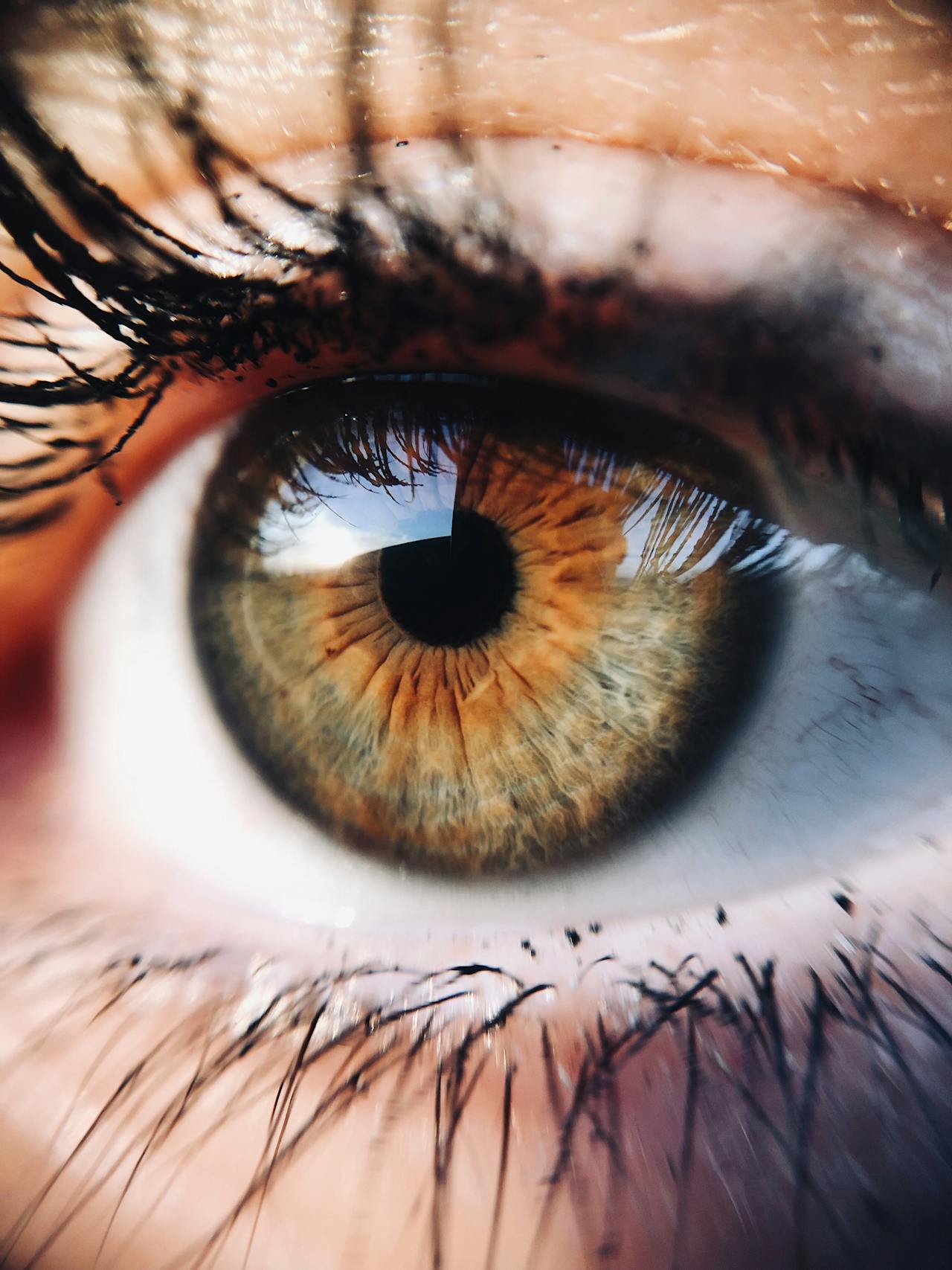 Best Eye Health Supplements: Clear Vision, Made Simple