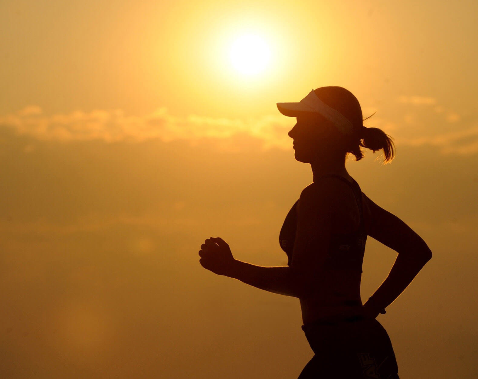 Top Adaptogens for Stress & Immunity Backed by Peptides