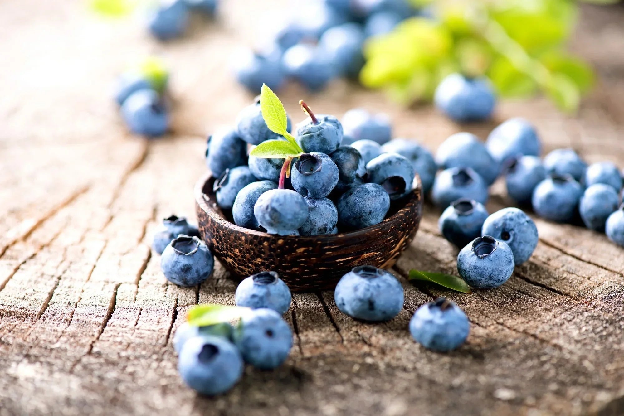 Blueberry Extract for Retinal Health: Science-Backed Benefits